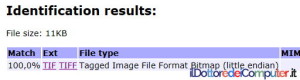 Formato di File Sconosciuti (3)