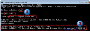 Formato di File Sconosciuti (7)