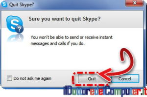 uscita skype