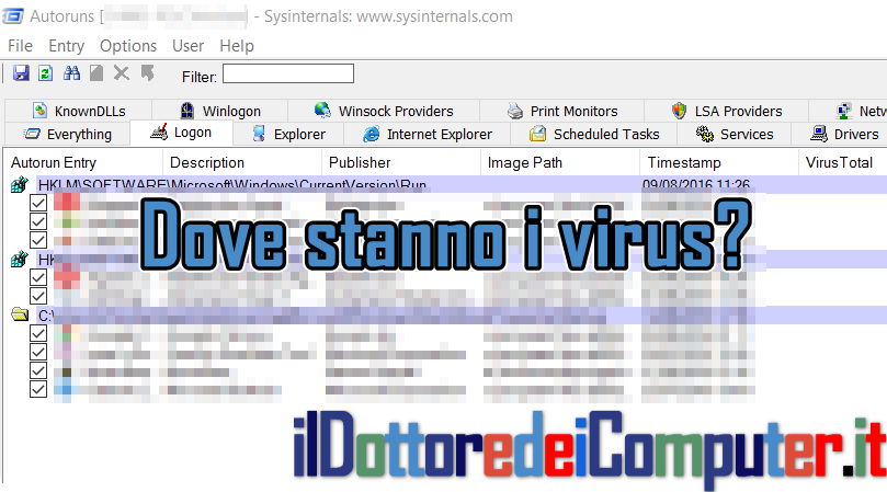 Dove Stanno i Virus?